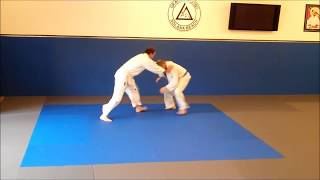 Standing Techniques Gracie Combatives [upl. by Aserej401]