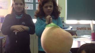 James and the giant peach iMovie Trailer by Jamie Filippo amp Laura [upl. by Garold727]