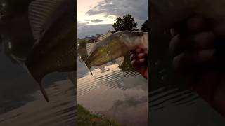 It’s free youtubefeed contentcreator content fishing bassfishing viralshort [upl. by Wallford647]