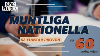 60 SEKUNDER  Så går de muntliga nationella proven till [upl. by Udella]