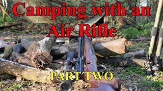 PART TWO solo overnight camp Air rifle Binos Camp fire cooking Woodland Camp [upl. by Lagasse]