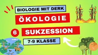 Ökologie  6  Sukzession  7  9 Klasse [upl. by Nicholle874]