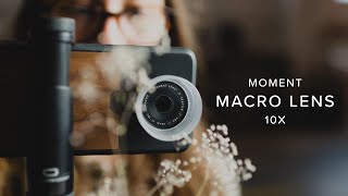 The BEST Macro Lens For Your Phone  Moment MSeries Macro Lens [upl. by Abehs]