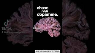 What flows your natural dopamine best [upl. by Erika]