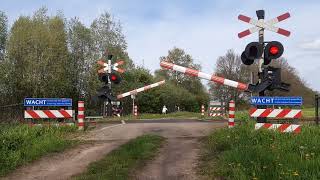 Spoorwegovergang Vragender  Dutch Railroad Crossing [upl. by Eugirne]