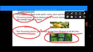 flowering and nonflowering plantsgr3lesson1 part 2 [upl. by Assilat646]