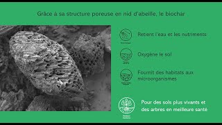 Utiliser le biochar premium TERRA FERTILIS en sylviculture [upl. by Silletram]