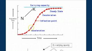 Population Ecology Part 2 [upl. by Ednutabab]