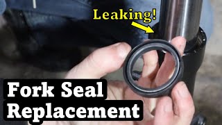 Replace Your Fork Seals  Suzuki DL650 VStromNonInverted Fork Repair [upl. by Berardo]