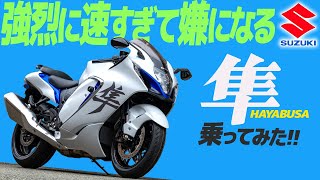 SUZUKI 隼 乗ってみた！【モトブログ】SUZUKI HAYABUSA 2023 MODEL Motorcycle review in Japan [upl. by Hadeehuat]