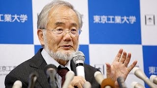 Yoshinori Ohsumi consigue el Nobel de Medicina [upl. by Anura]