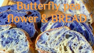 blue butterfly pea bread 🪻🪻chefHASANKA viralvideo trending dubai bakery bread chefhasanka [upl. by Drehcir335]