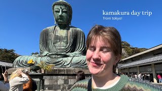 KAMAKURA day trip  WORTH IT big buddha haseda beach view [upl. by Adnauqaj]