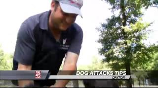 How to Protect Yourself if a Dog Attacks [upl. by Layod]