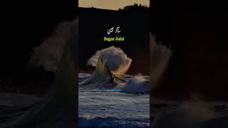 Nit khair manga 🥰😍❤️ shorts punjabisong song [upl. by Schnabel641]