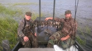 Rail Bird  Marsh Hen Hunt Charters with Joe Guide Outfitters [upl. by Eila498]