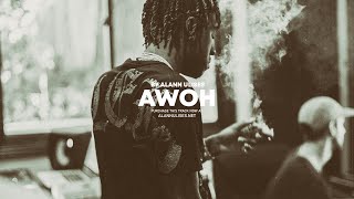 AWOH Riddim  Dancehall Ragga Beat Instrumental  Moombahton x Dancehall Type beat  2022 [upl. by Olrac808]