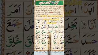 Khasheya  khalaqa  Beautiful Tilawat Noorani qaida lesson 6 hafiz Inzamam Ul Haq [upl. by Ynnus]