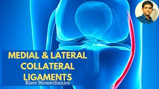 MEDIAL amp LATERAL COLLATERAL LIGAMENTS  Anatomy amp Biomechanics applied [upl. by Webster927]