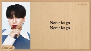 Jungkook Never Let Go Lyrics [upl. by Domenic]