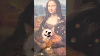 Monalisa hugs Niconico smartnico cute funny pets [upl. by Bevus]