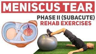 Meniscus Tear Rehab Phase II Rehab Exercises [upl. by Svetlana]