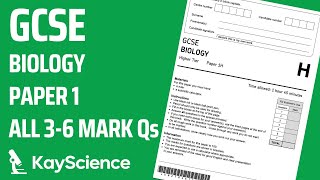 GCSE Biology Paper 1  4 Bioenergetics  Exam Questions amp Answers Revision 36 mark Qs [upl. by Eelrahc]