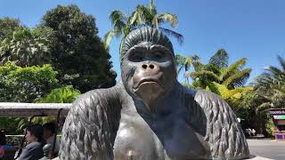 4K Walking TourSan Diego Zoo2024San DiegoCaliforniaDJI Pocket3 [upl. by Bakerman670]