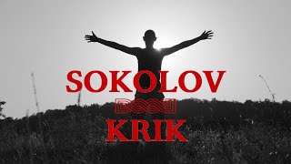 Marko Perković Thompson  Sokolov krik Official lyric video [upl. by Leventhal]