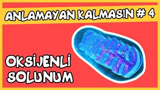 Anlamayan Kalmasın 4 Oksijenli Solunum [upl. by Tristas]