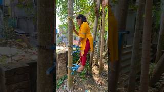 Arecanut tree climbing machineBettel nutArecanut harvesting Call for Machine 8250005731 [upl. by Liryc]