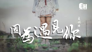 夏婉安  因為遇見你『我一次次地失眠輾轉反。』【動態歌詞Lyrics】 [upl. by Rehtaef748]