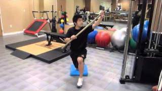 TMI Sports Medicine  AntiRotation Core Exercises [upl. by Snoddy]