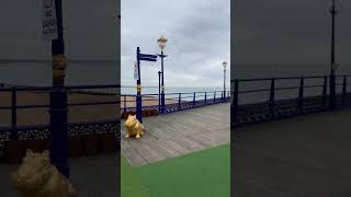 Eastbourne Pier 🌷  Eastbourne England UK 🇬🇧 [upl. by Toiboid880]