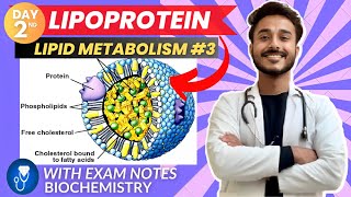 lipoprotein biochemistry  biochemistry of lipoprotein classification  lipoprotein metabolism [upl. by Icken]