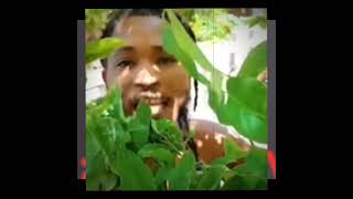 funny youtubeshorts Needle eye pumpum unruly fest dancehall reggae [upl. by Sema701]