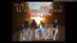 Wame Blood  Meri Lewa RNB version BONUS TRACKBRad Studio [upl. by Afihtan933]