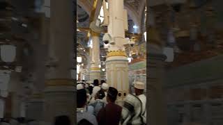 Roza Rasool k androni manazar bulbulebaghemadina naatshreef islamicpiligrimage allahpak viral [upl. by Kumagai781]