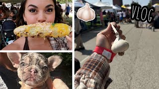 Vlog  Garlic Festival Preparing for Puppy to come [upl. by Charissa]