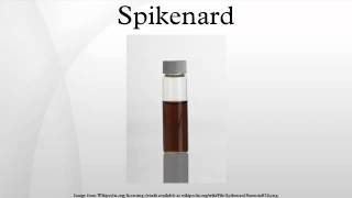 Spikenard [upl. by Eniluj548]