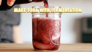 Make a Soda Out of Anything With Fermentation [upl. by Olnee]