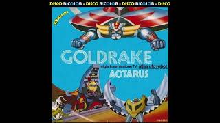 Sigla ACTARUS  Goldrake [upl. by Godart]