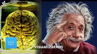 Albert Einstein brain Analysis Albert Einstein brain legacymotivatinal [upl. by Yraek]