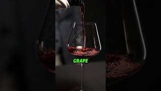 Journey of wine from vine😀 farming shorts short [upl. by Adiesirb358]