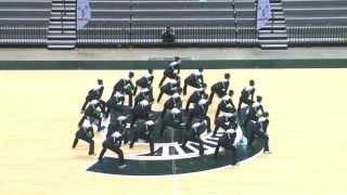 Collegiate Pompon Championship 2014  Michigan State University Pompon [upl. by Emirac]