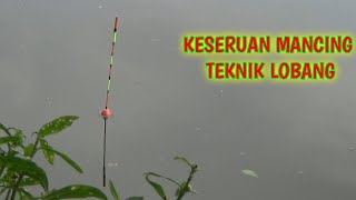 KESERUAN MANCING IKAN NILA TEKNIK LOBANG mancing mancinglobangikannila [upl. by Shara]