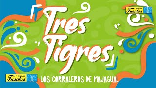 Los Corraleros de Majagual  Tres Tigres  Discos Fuentes [upl. by Elvah]