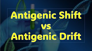 Antigenic Shift vs Antigenic Drift [upl. by Ogir]