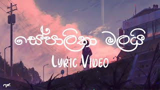 Sepalika Malai සේපාලිකා මලයි  Jayasiri Amarasekara  Lyric Video [upl. by Arihaz]