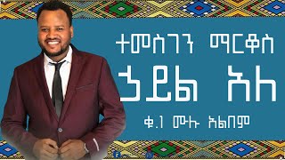 Temesgen Markos  Haile Ale Vol1 full album ተመስገን ማርቆስ ኃይል አለቁ1ሙሉ አልበም [upl. by Alta]